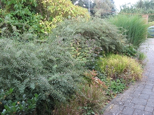 Wiederhold Garten Langerwisch Foto Brandt